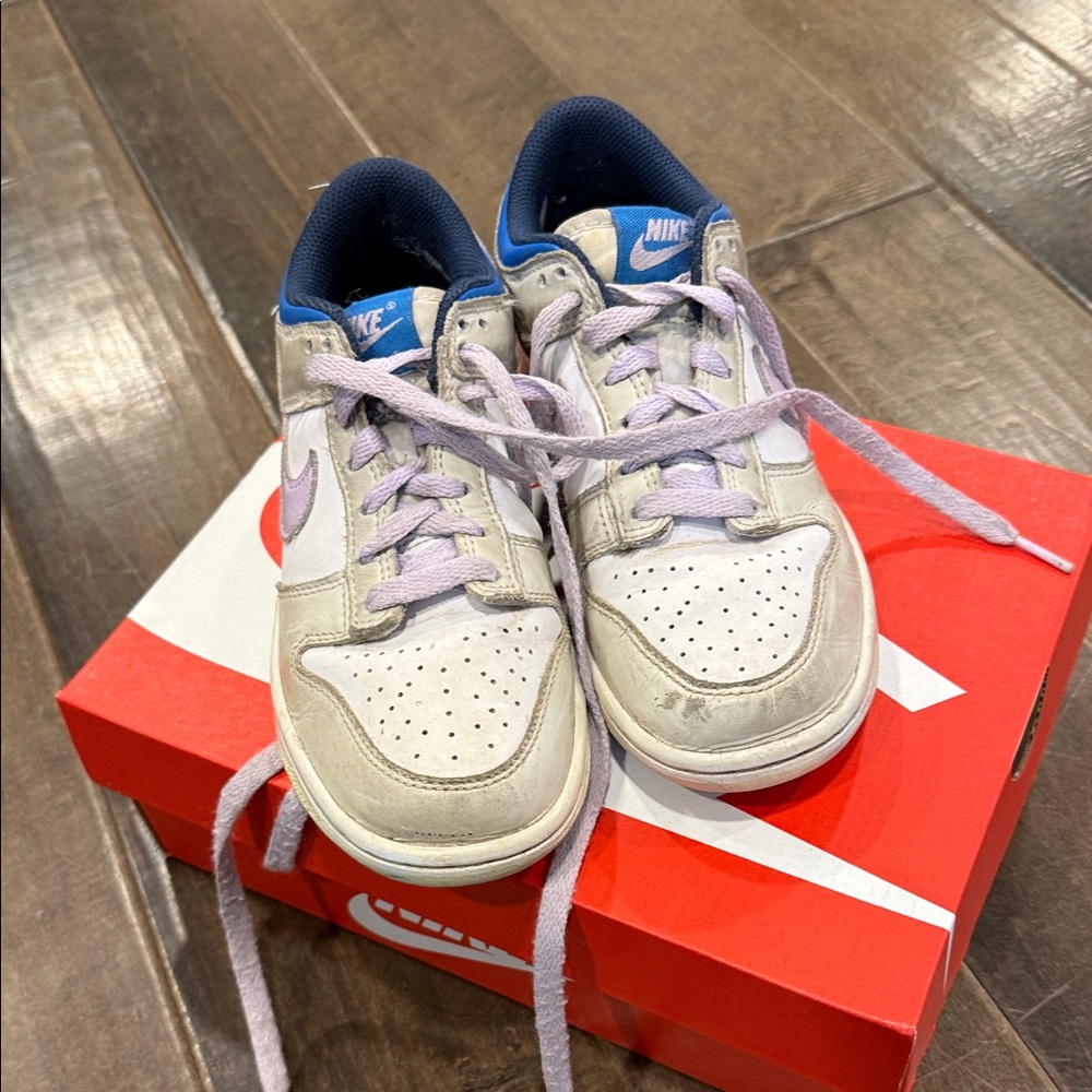 Nike Dunk Low Youth Red Box